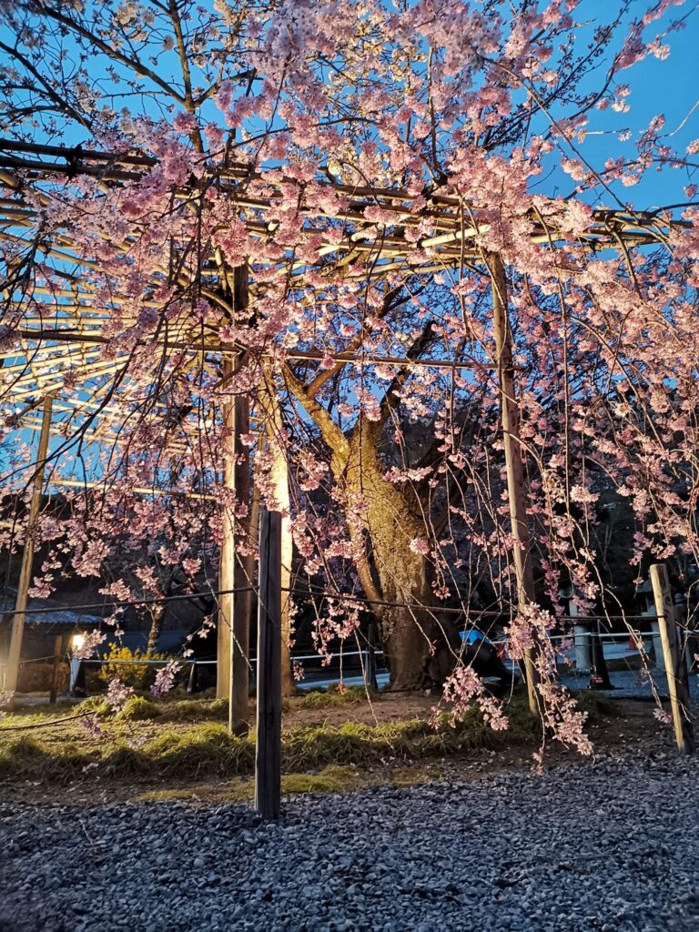 printemps, émotions, bien être